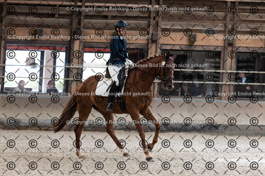 CL5A1283 | Emilia Reinking Fotografie - Realisiert mit Pictrs.com