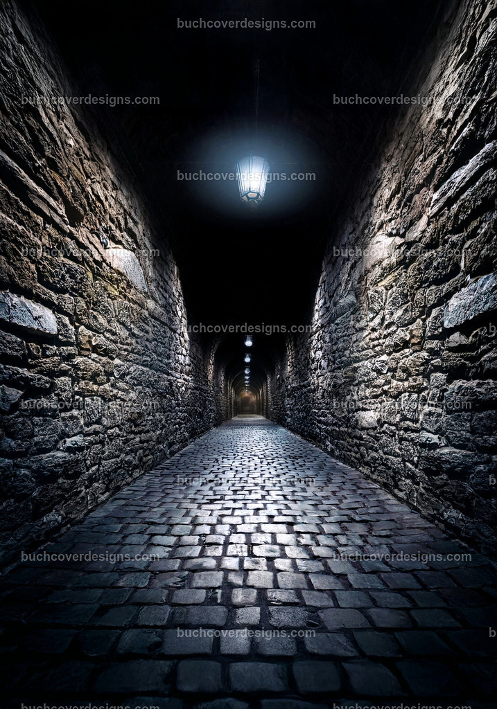 Stein Corridor altes gebäude (1) | Entdecken Sie kreative Buch Cover Designs für Self-Publishing-Autoren und Verlage! Unsere maßgeschneiderten Designs ziehen Leser an und bringen Ihre Geschichten visuell zum Leben. Lassen Sie uns Ihr perfektes Cover gestalten!