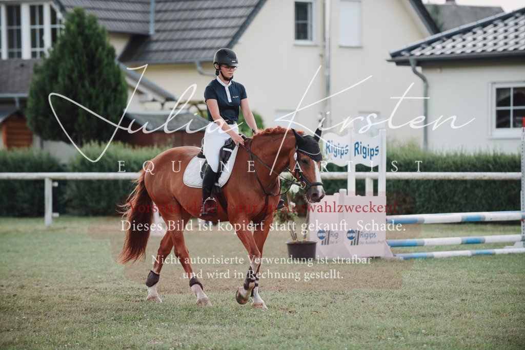 DSC_5622 | Pferde- und Turnierfotografie in Westsachsen. Pferdeportraits, Auftragszeichnungen und intuitive Kunst.