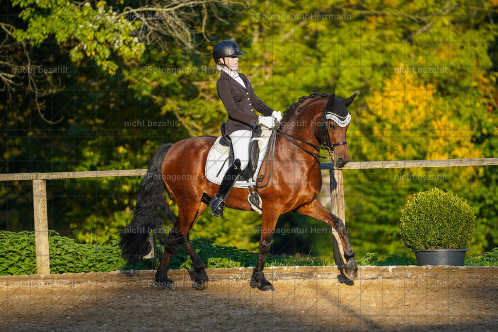 20221007-FAH00453 | Diessen am Ammersee, 2022, Dressur- und Springturnier, Reitsportbilder, Turnierfotografen Bayern, Pferdefotografen, Fotoagentur Herrmann, Turnierbilder