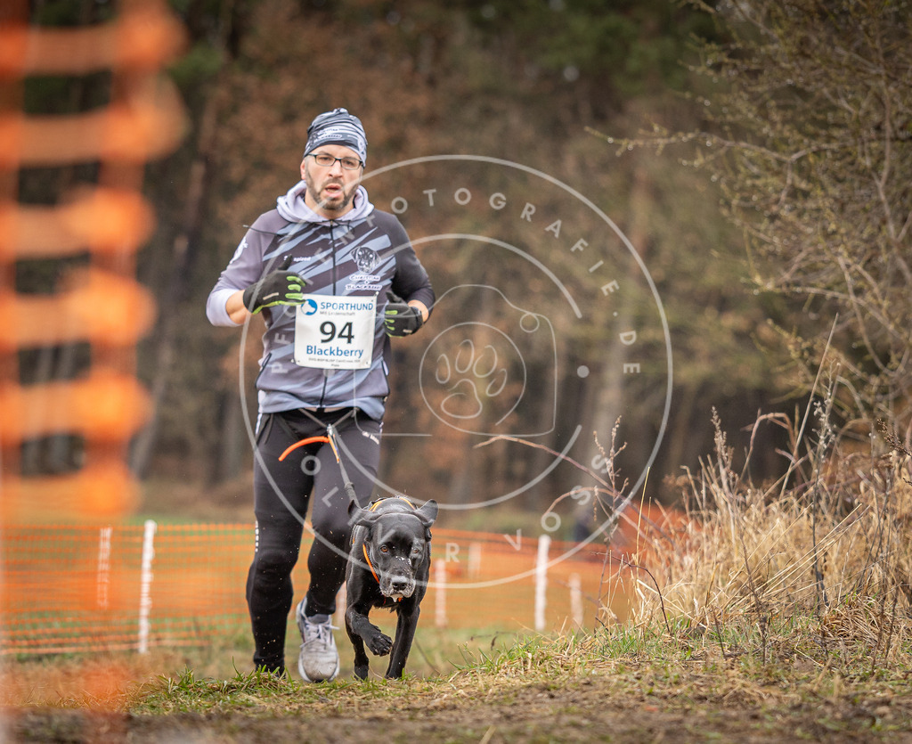 DV3A0502 | Hundefotografie, Tierfotograf, Pfotenfotografie, Fotoshooting Hund, Hunde Portrait, Hundesport, Hundeportraits, Heideshooting, Hunde, Sportfotograf, Hundefotograf, Turnierhundsport, THS,  - Realisiert mit Pictrs.com