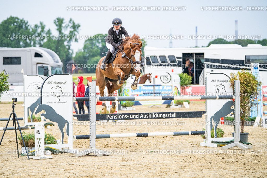 DSC07199 | Pferdegrafie