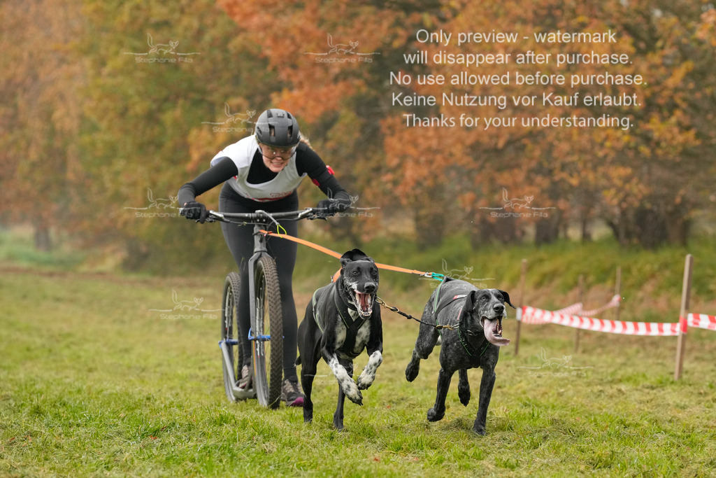 Visbeck_Sa_DS2DR2-42 | stephaniefillaphotographie - Realisiert mit Pictrs.com