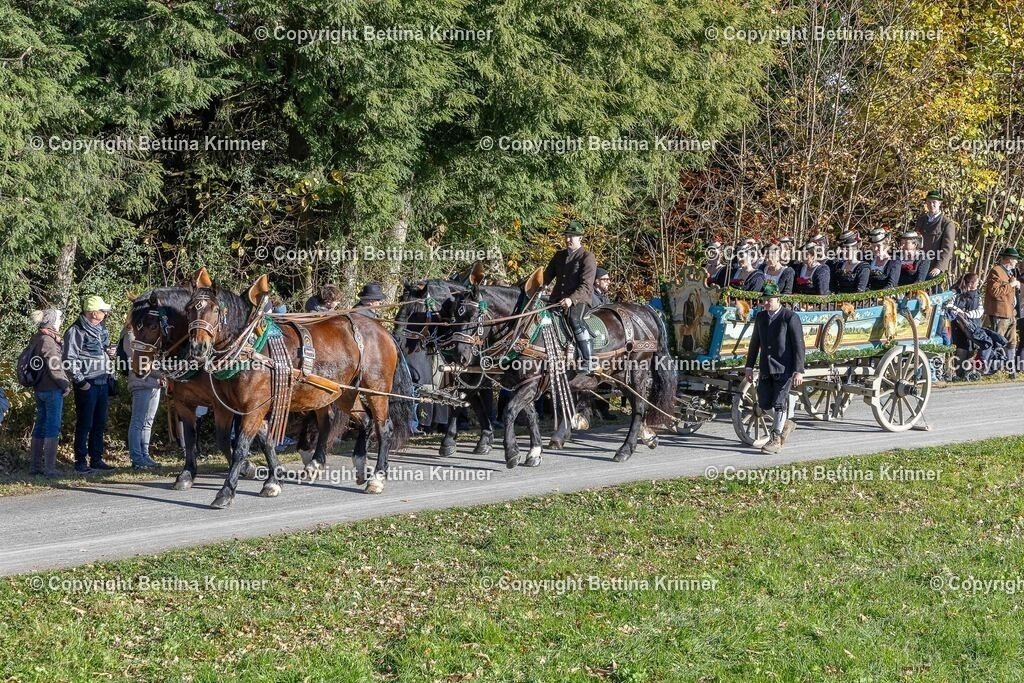 LBT25-293 | foto-bettina-krinner - Realisiert mit Pictrs.com