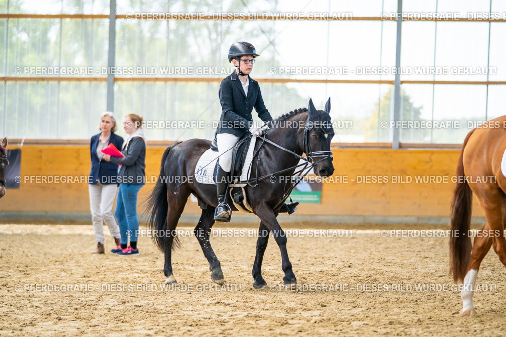 DSC01323 | Pferdegrafie