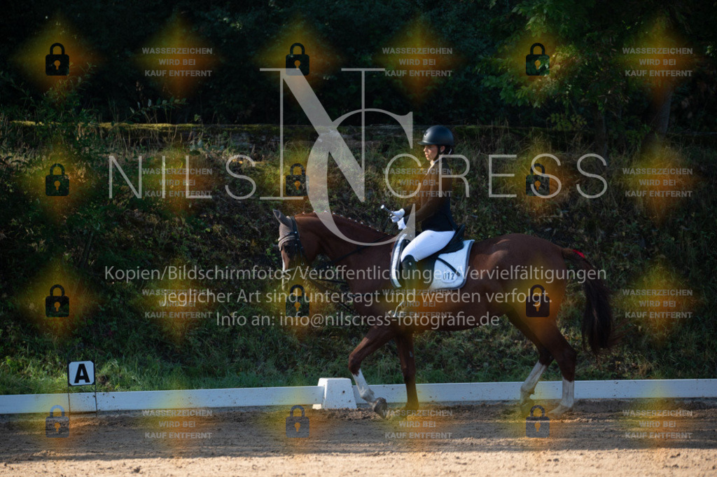 DSC_7860 | Nils Cress - Fotografie - Realisiert mit Pictrs.com