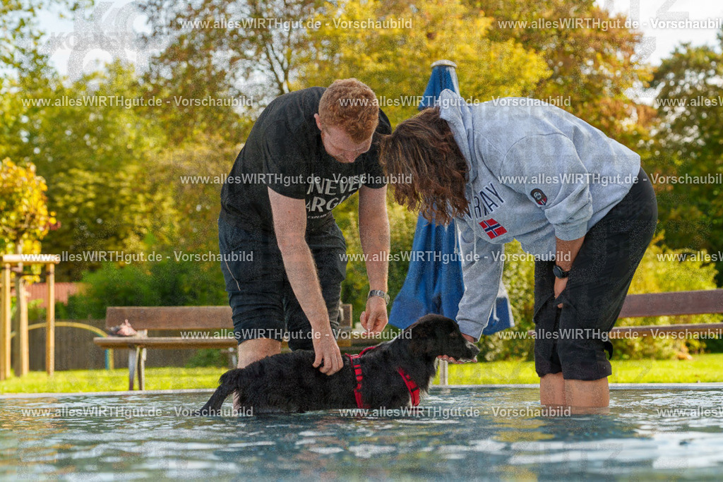 Hundeschwimmen_Grefrath_2026-allesWIRTHgut_Tierfotografie-09_52-7R502526 | Professionelle Tierfotografie in Mönchengladbach von Daniel Wirth (allesWIRTHgut). Liebevolle & natürliche Bilder von Hunden & Katzen für unvergessliche Erinnerungen.