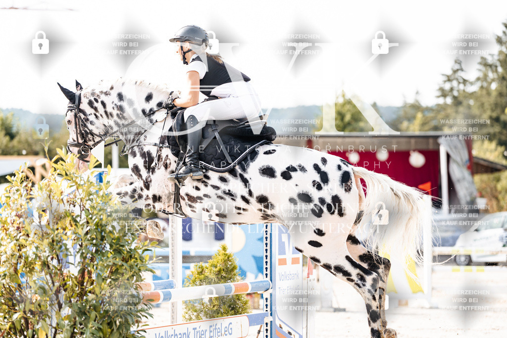 CK905978 | Turnierfotografie Pferdefotografie Trier Rheinland-Pfalz Pferdesport Reitsport Tierfotografie Sportfotografie Pferdevideo Pferdevideografie Equestrianvideography equestrianphotography  - Realisiert mit Pictrs.com