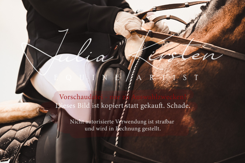 DSC_6337 | Pferde- und Turnierfotografie in Westsachsen. Pferdeportraits, Auftragszeichnungen und intuitive Kunst.