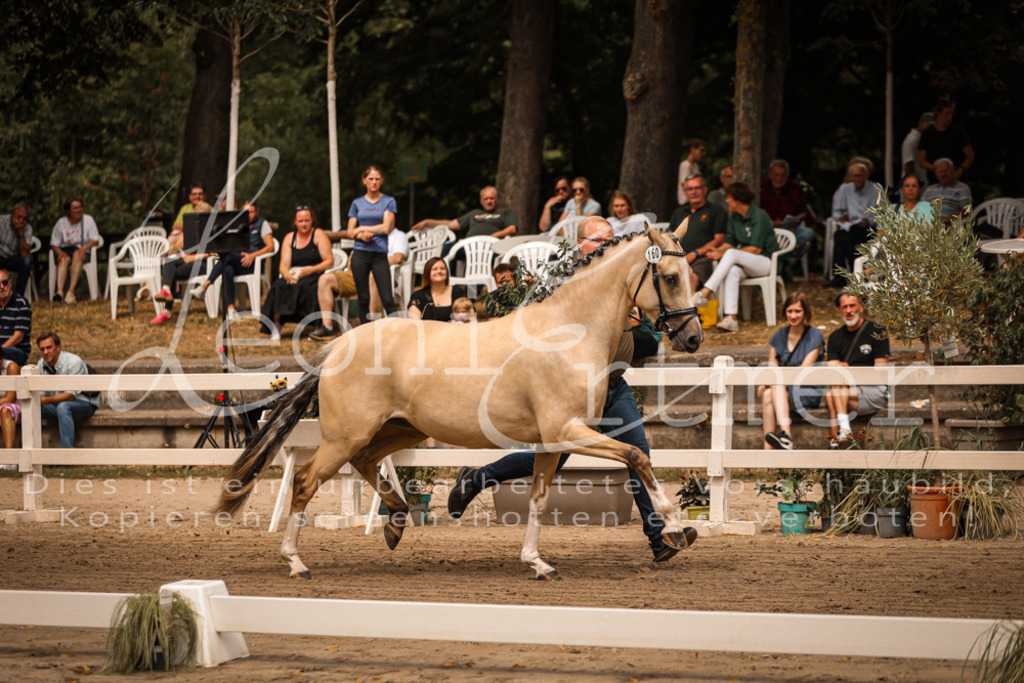 10.So00079 | Leoni Ertmer Photography - Realisiert mit Pictrs.com