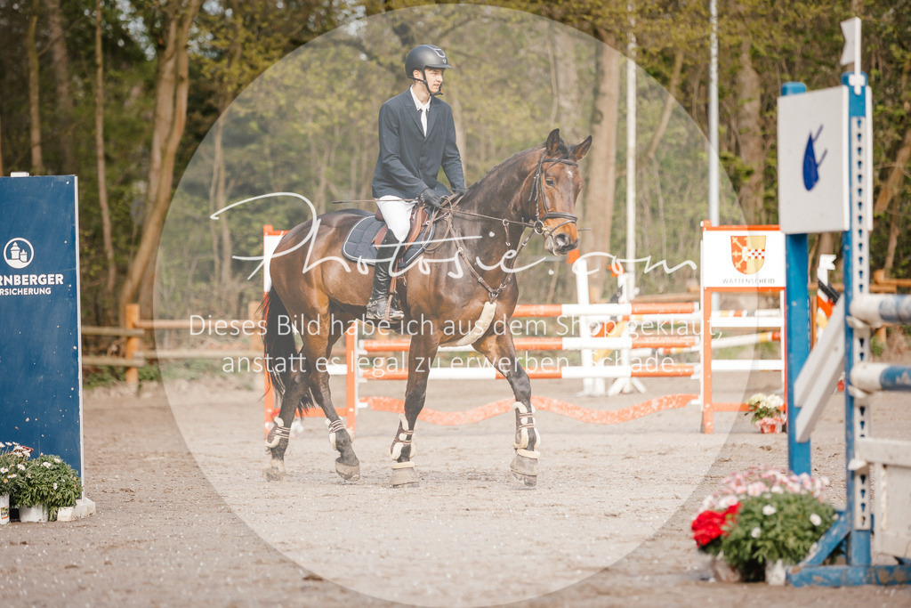 3I6A3421 | Stimmungsvolle Portraits und Reitsportfotografie im Ruhrgebiet und im Münsterland.

Pferdefotografie, Hundefotografie, Tierfotografie, Reportagen, Portraits von Tier und Mensch, Turnierfotografie in Bochum, Recklinghausen, Marl, Haltern am See, Dülmen.. - Realisiert mit Pictrs.com