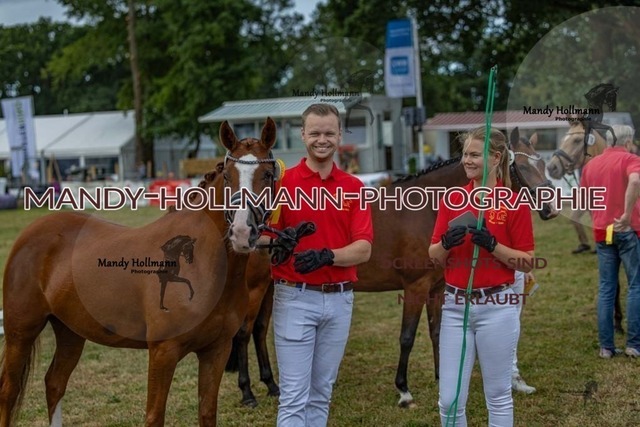 26-8-22 DR 4j-185 | mandyhollmannphotographie