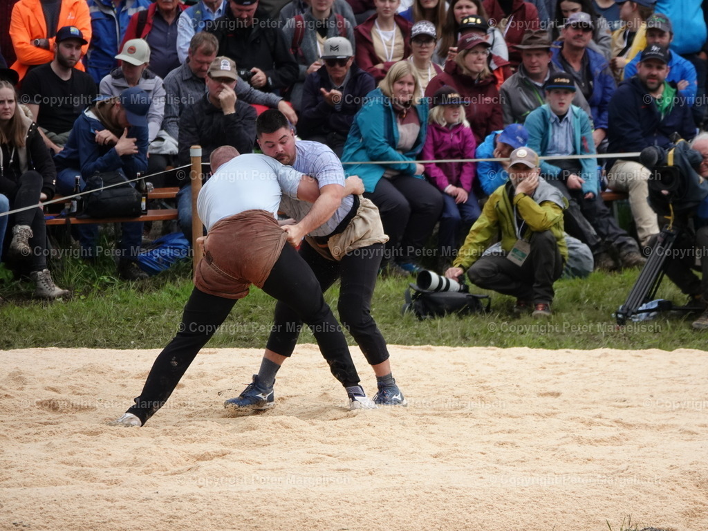 DSC07679 | Schwingen - Realisiert mit Pictrs.com