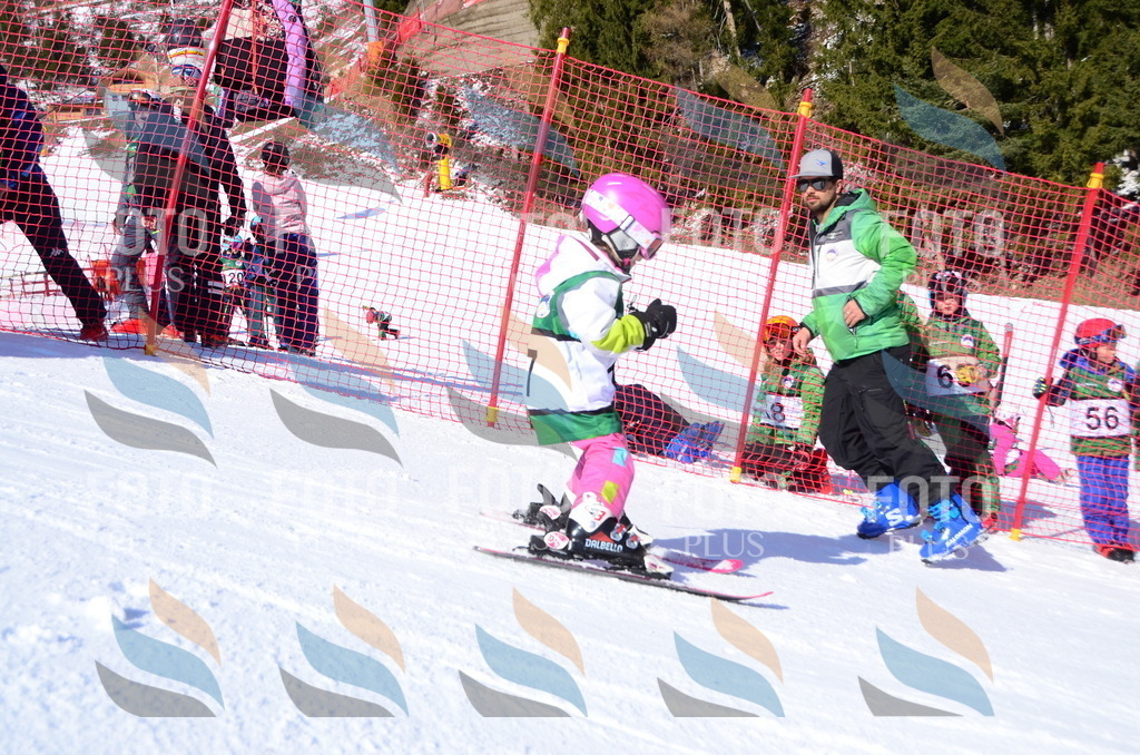 C4684 | holidayphoto