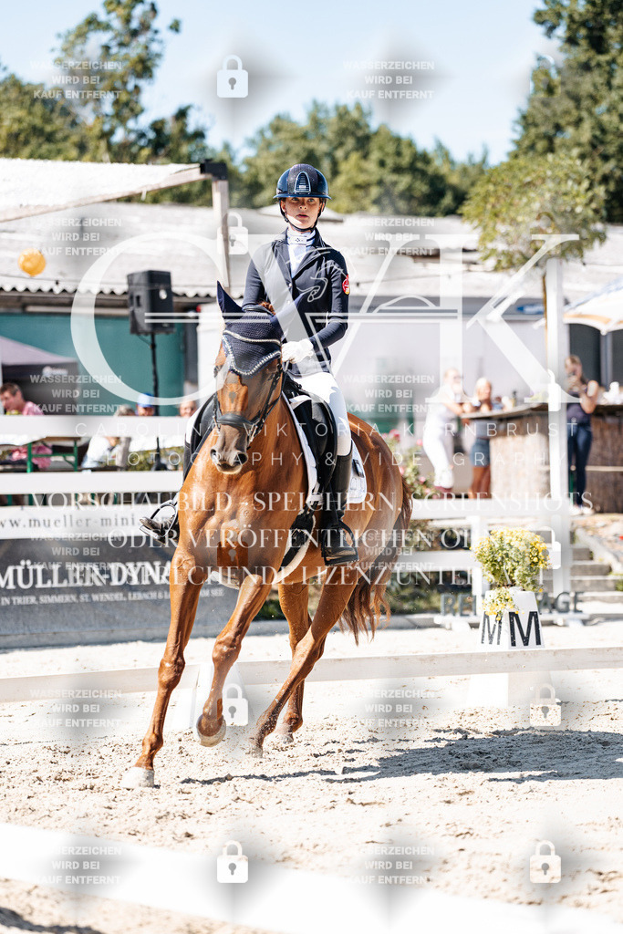 CK909676 | Turnierfotografie Pferdefotografie Trier Rheinland-Pfalz Pferdesport Reitsport Tierfotografie Sportfotografie Pferdevideo Pferdevideografie Equestrianvideography equestrianphotography  - Realisiert mit Pictrs.com