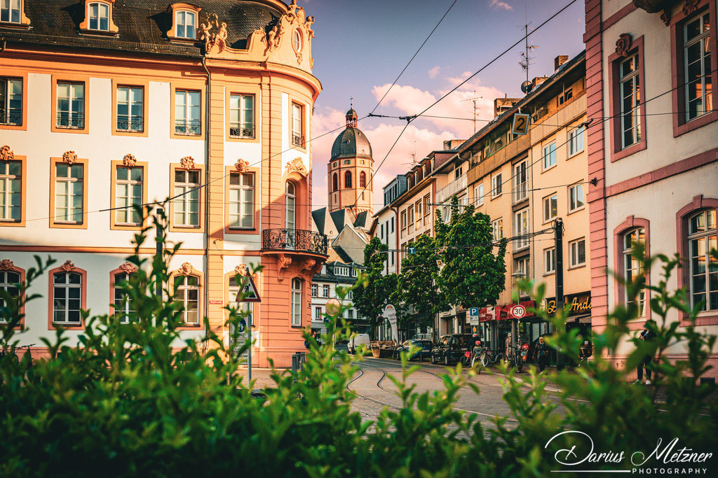 DSC_2567 | Fotografien, Fotos und Bilder aus Mainz, Frankfurt, Wiesbaden und anderen Orten auf der Welt - Fotografiert von Darius Metzner