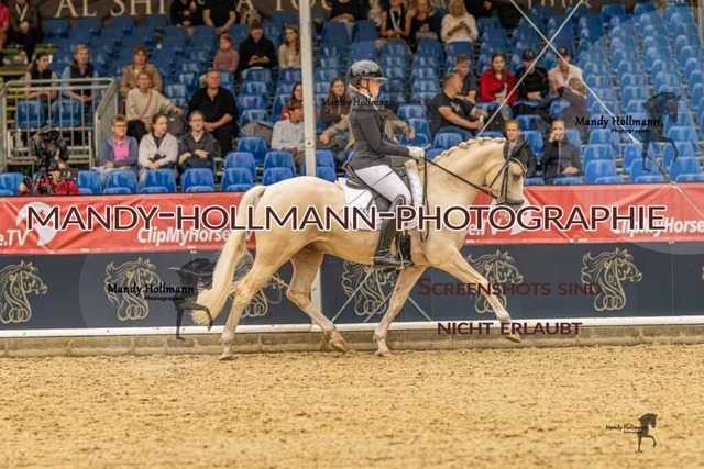 28-8-26 5j DRE-760 | mandyhollmannphotographie