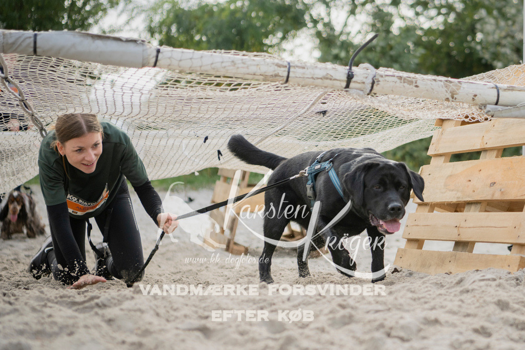 1326_ZZ96800 | kk-dogfotos
