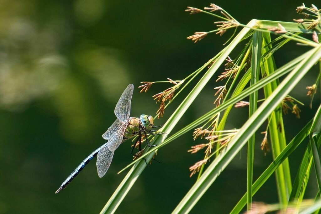 KSR_0164_upscale | Unvergessliche Erinnerungen in Bildern festgehalten! Ob Hochzeit, Shooting oder Landschaft  - Ich bin dein Fotograf in Erfurt und Umgebung! Photo-Rauch | Sandro Rauch - Realisiert mit Pictrs.com