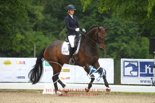 DKP40011 | Turniersportfotografie; Pferdefotografie; Dressurfotografie