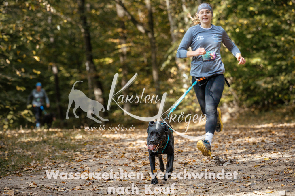 1310_ZZ97495 | kk-dogfotos