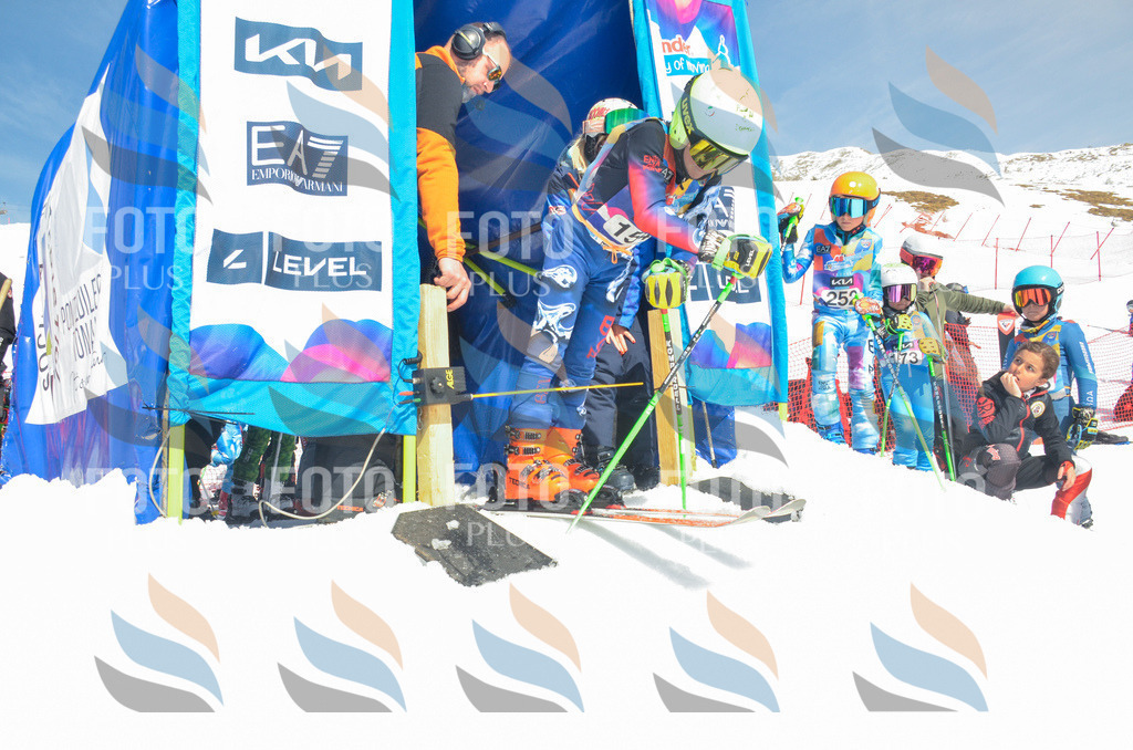 _ELE6354 | holidayphoto