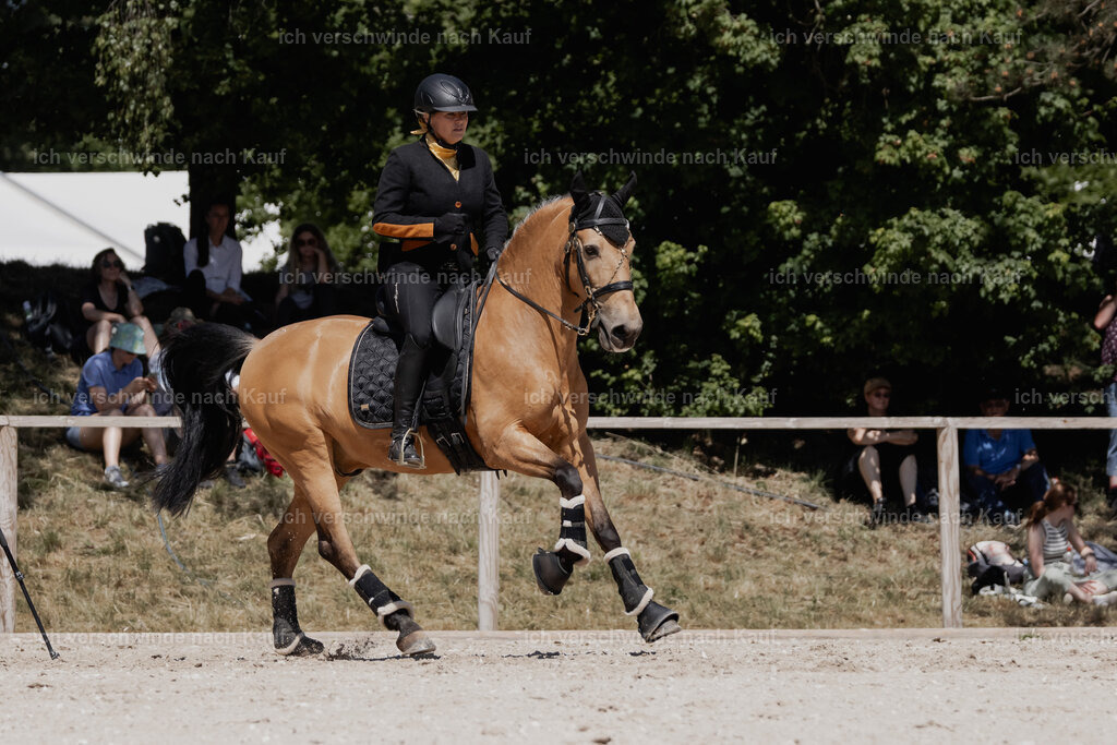 WE_SP_Stoib_319_PI2025_1741 | Pferd International München 2025