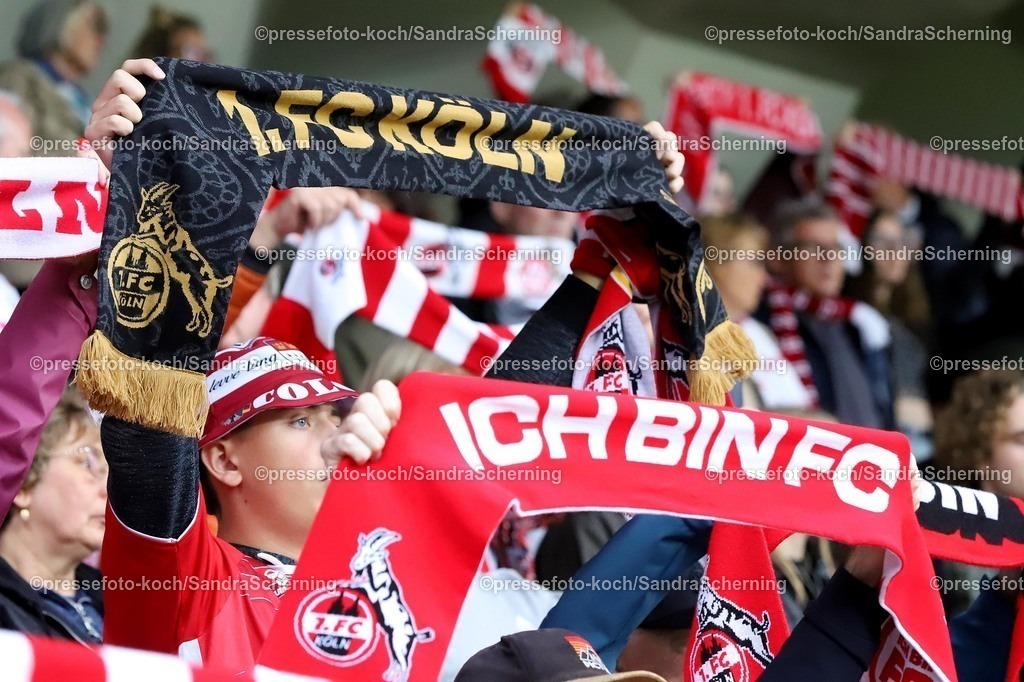 XSSC21092501033 | 21.09.2025, xsscx, Frauen Fuﬂball, 1. FC Koeln - VfL Wolfsburg, 1. Fuﬂball Bundesliga, 3. Spieltag, Franz-Kremer-Stadion, Saison 2025 2026: Fan mit schwarzem Schal (Sonderedition 777 Jahre Kˆlner Dom) vor dem Spiel DFB regulations prohibit any use of photographs as image sequences and or quasi-video. Nordrhein-Westfalen Deutschland