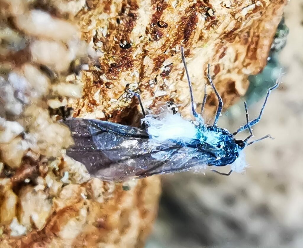 PSX_20221013_223923 | mtkfoto_ - Realisiert mit Pictrs.com