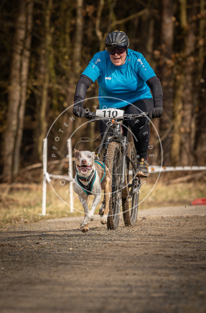 DV3A4283 | Hundefotografie, Tierfotograf, Pfotenfotografie, Fotoshooting Hund, Hunde Portrait, Hundesport, Hundeportraits, Heideshooting, Hunde, Sportfotograf, Hundefotograf, Turnierhundsport, THS,  - Realisiert mit Pictrs.com