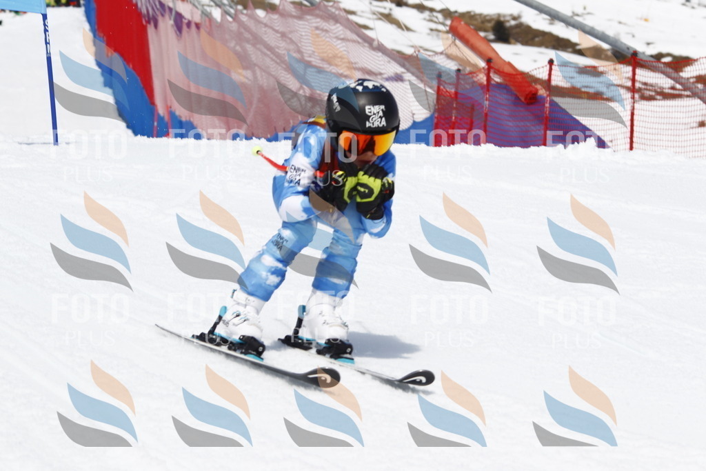 _U3G7897 | holidayphoto