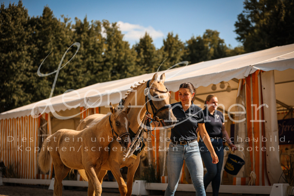 10.DoRP00227 | Leoni Ertmer Photography - Realisiert mit Pictrs.com