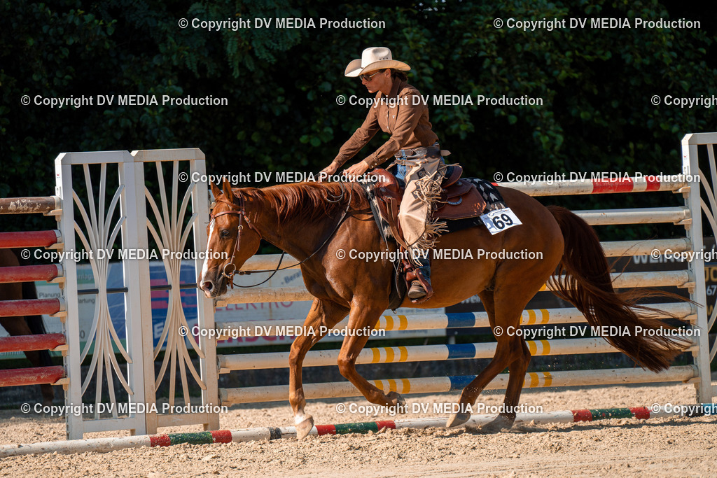 ZH100768 | dv-media-shop - Realisiert mit Pictrs.com