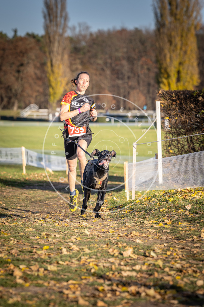 CaniXpix_DV3A2123 | Hundefotografie, Tierfotograf, Pfotenfotografie, Fotoshooting Hund, Hunde Portrait, Hundesport, Hundeportraits, Heideshooting, Hunde, Sportfotograf, Hundefotograf, Turnierhundsport, THS,  - Realisiert mit Pictrs.com