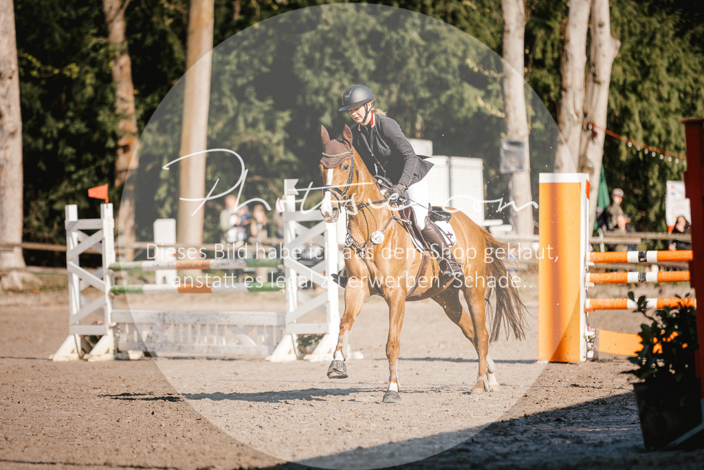 3I6A3613 | Stimmungsvolle Portraits und Reitsportfotografie im Ruhrgebiet und im Münsterland.

Pferdefotografie, Hundefotografie, Tierfotografie, Reportagen, Portraits von Tier und Mensch, Turnierfotografie in Bochum, Recklinghausen, Marl, Haltern am See, Dülmen.. - Realisiert mit Pictrs.com