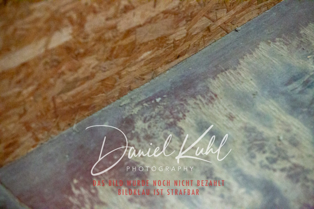 IMG_1974 | Turniersportfotografie; Pferdefotografie; Dressurfotografie