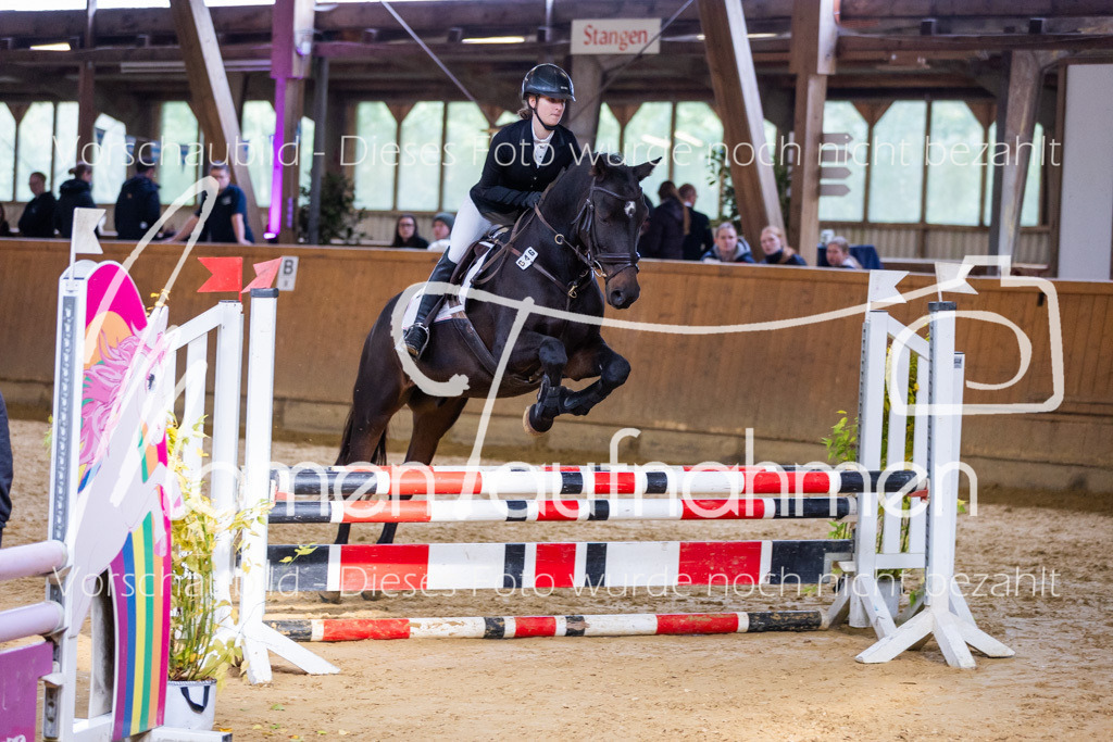 Sth-A-Springen-083 | MomenTaufnahmen Pferdesportfotos