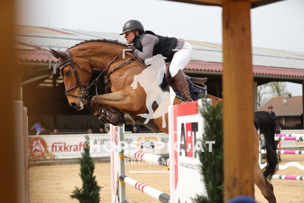 0P6A6885 | Willkommen bei Brunnmayr - Design & Fotografie – Ihrem Spezialisten für Reitturniere und Pferdeveranstaltungen in Oberösterreich, Salzburg und Bayern! Seit über 17 Jahren sind wir leidenschaftlich dabei.