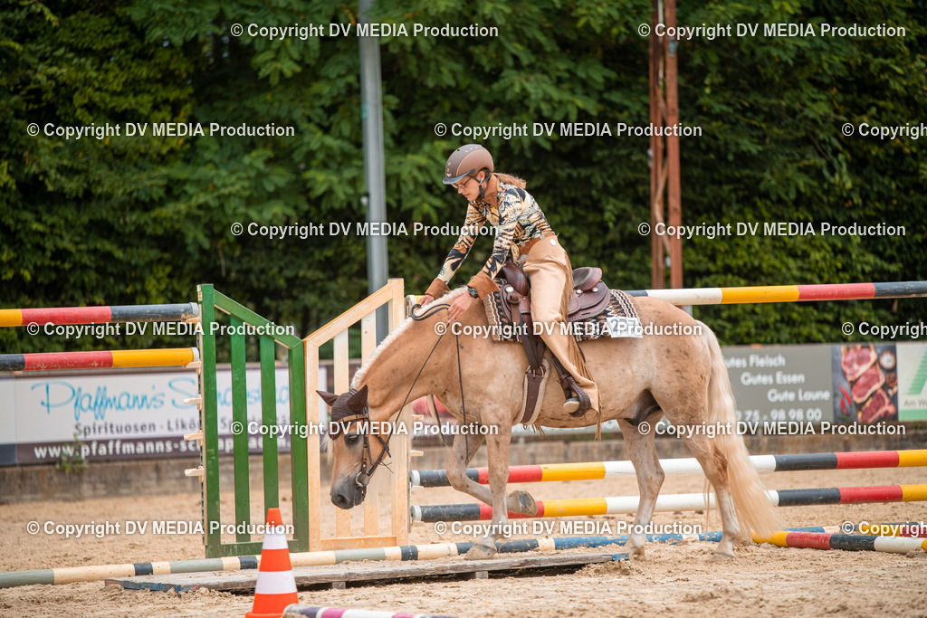 ZS2_8001 | dv-media-shop - Realisiert mit Pictrs.com