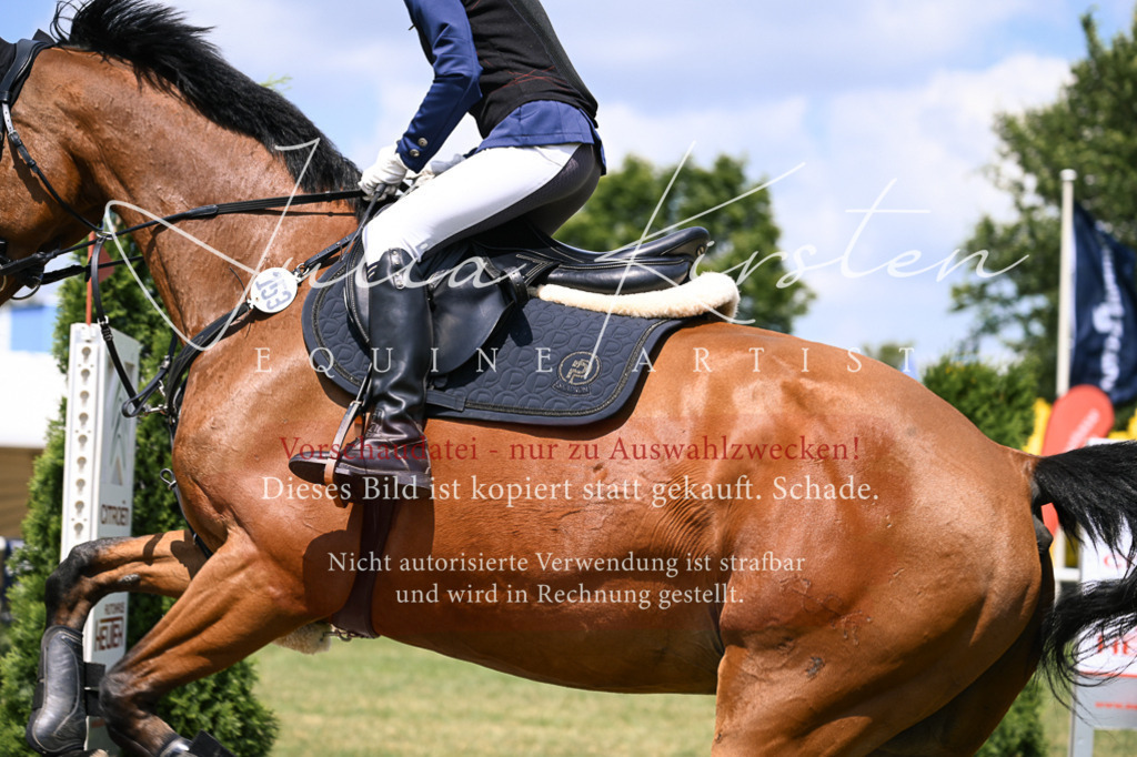DSC_9318 | Pferde- und Turnierfotografie in Westsachsen. Pferdeportraits, Auftragszeichnungen und intuitive Kunst.