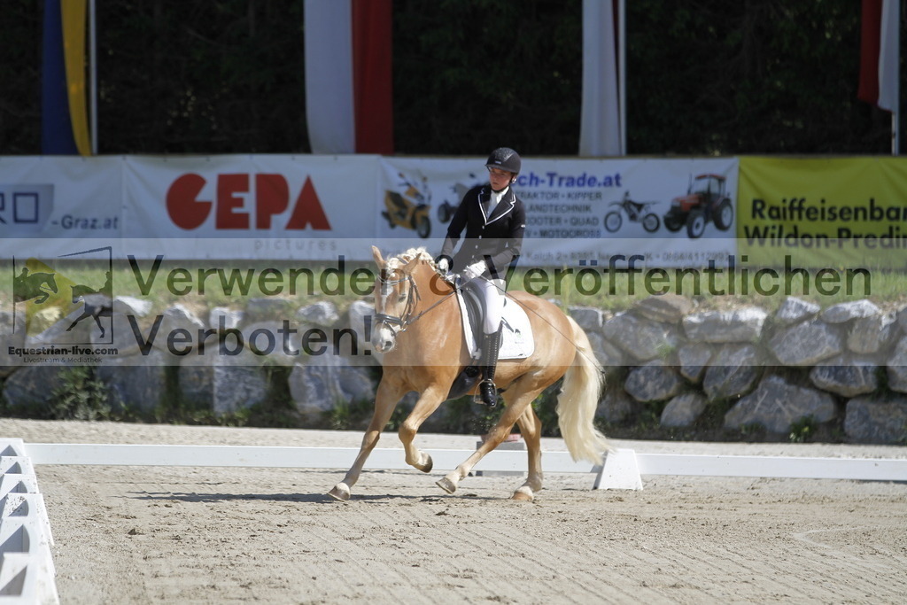 _MG_6504 | equestrian-live-com
