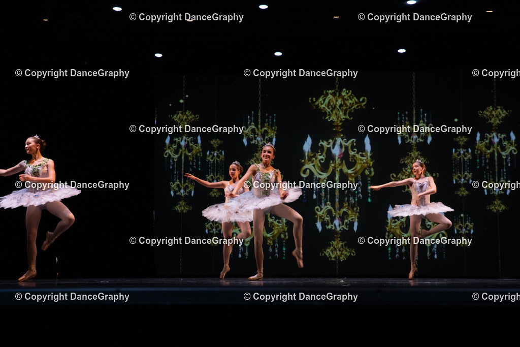 GPHY6926 | DanceGraphy - Realisiert mit Pictrs.com