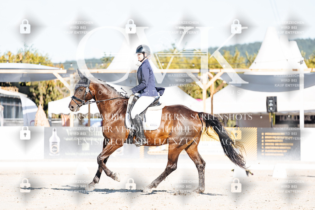 CK907328 | Turnierfotografie Pferdefotografie Trier Rheinland-Pfalz Pferdesport Reitsport Tierfotografie Sportfotografie Pferdevideo Pferdevideografie Equestrianvideography equestrianphotography  - Realisiert mit Pictrs.com