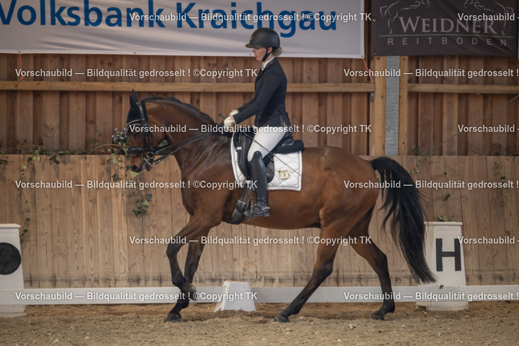 _D5A5987 | Emotionale Pferde- & People-Fotografie rund um Heidelberg, Leimen & Umgebung. Natürliche Fotos von Pferd, Mensch & Familie. Jetzt Termin sichern!