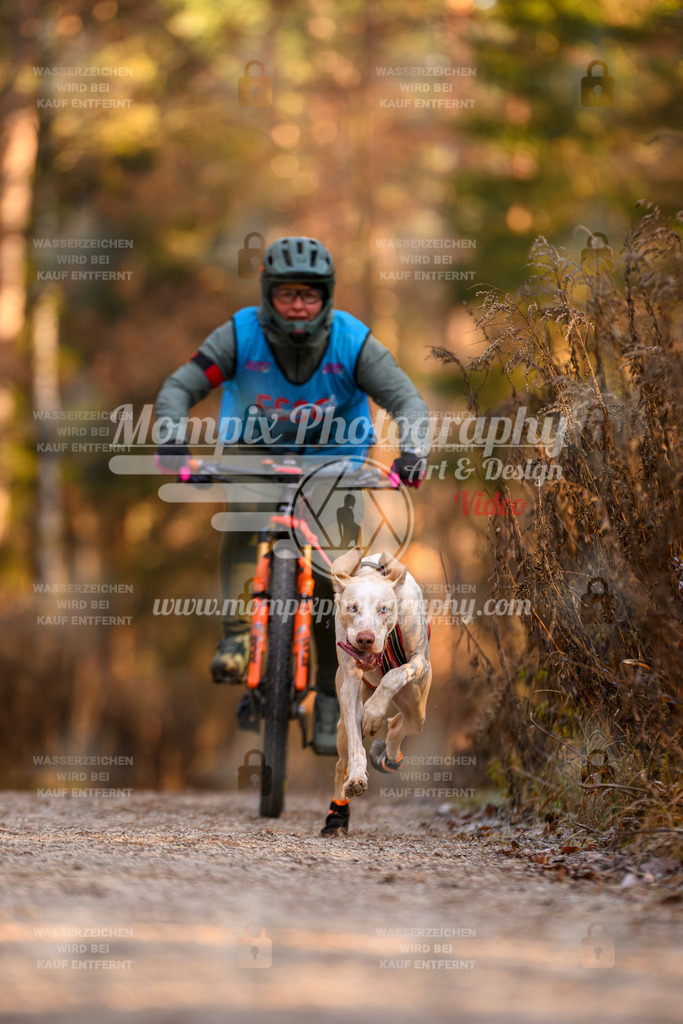 MompixPhotography_DM_AKDM_SO_2025_Bike-100 | PayLife