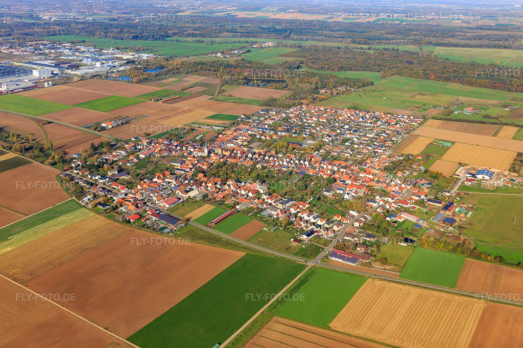 Luftbild: Ortsansicht von Süden in Ottersheim bei Landau im Bundesland Rheinland-Pfalz in Deutschland. Foto: IMG_104310.jpg vom 31.10.2017 durch Werner Riehm/FLY-FOTO.de