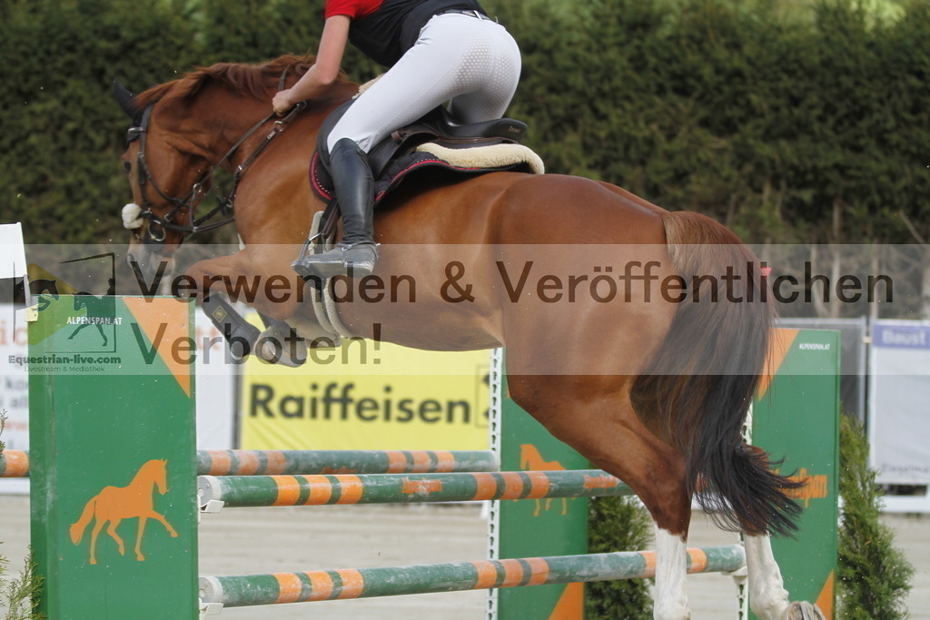 _MG_7640 | equestrian-live-com