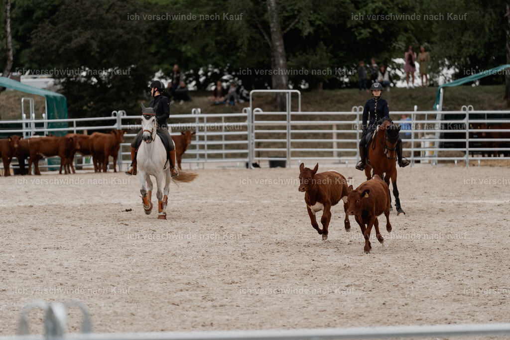 WE__Stoib_Rinder_PI2025_3147 | Pferd International München 2025