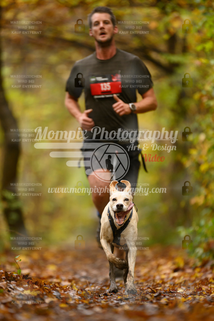 MompixPhotography_CD7S_DI_CCL-70 | mompixphotography