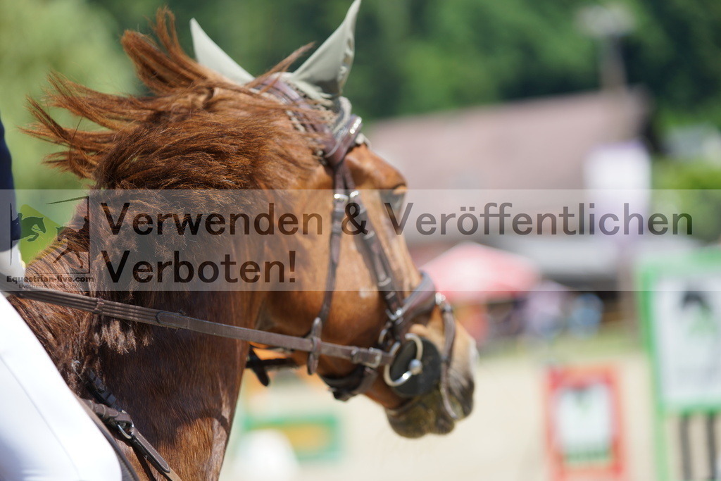 DSC00697 | equestrian-live-com